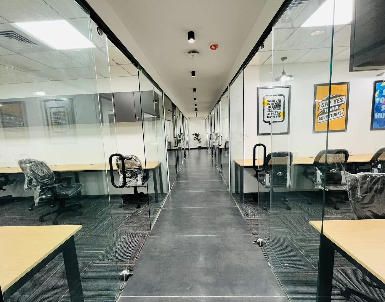 Private cabins and shared workspace at SupremeWork Noida